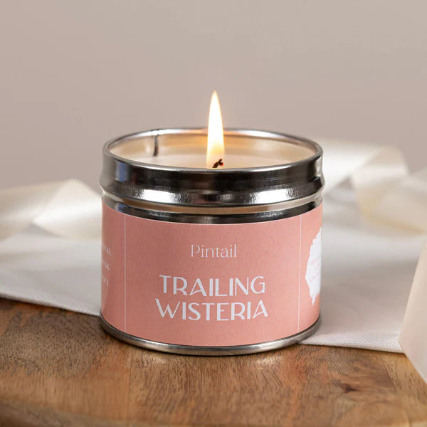 Trailing Wisteria Classic Tin Candle