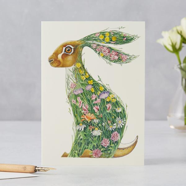 Hare in meadow