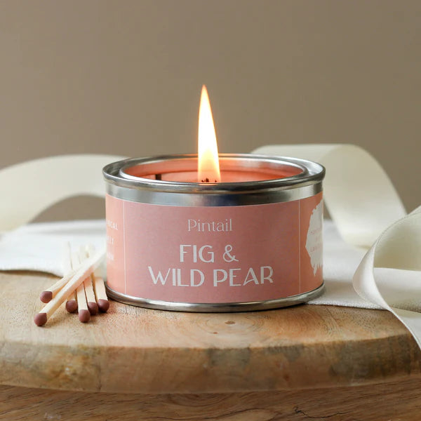 Fig & Wild Pear Paint Pot Candle
