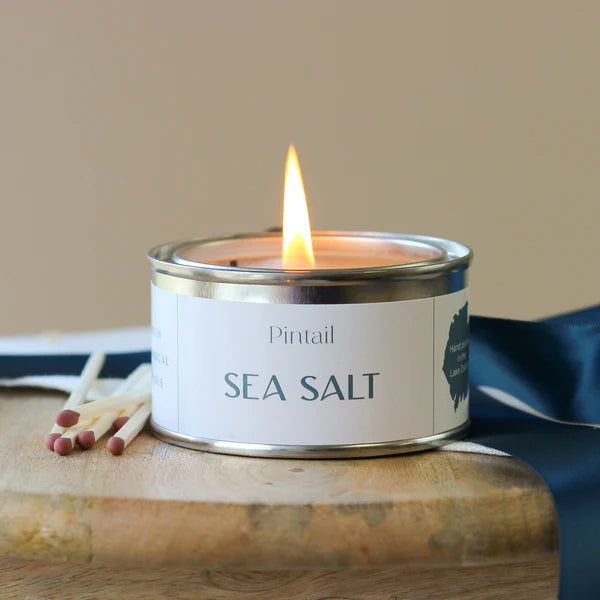 Sea Salt Paint Pot Candle