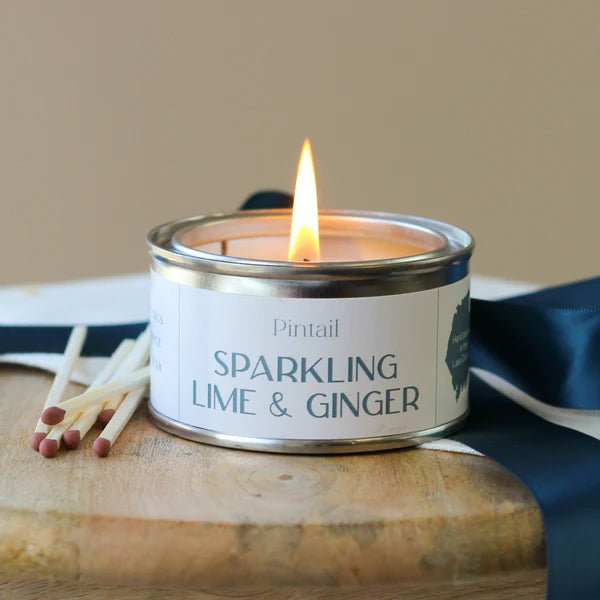 Sparkling Lime & Ginger Paint Pot Candle