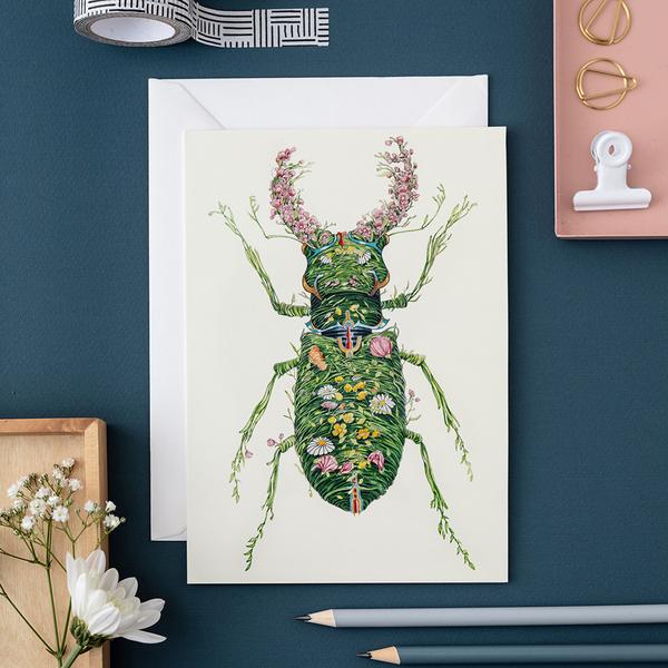 Stag Beetle
