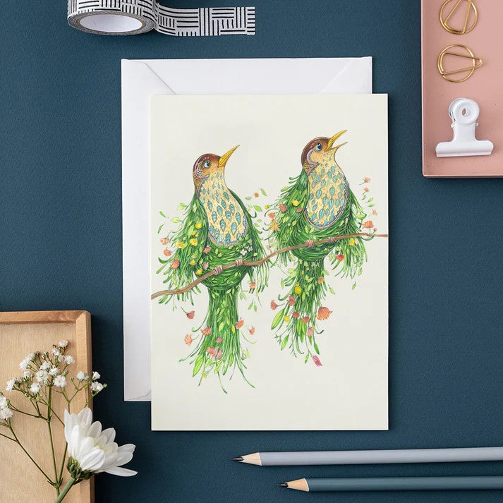 Two Scruffy Thrushes