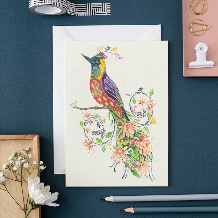 Extra Fancy Bird of paradise