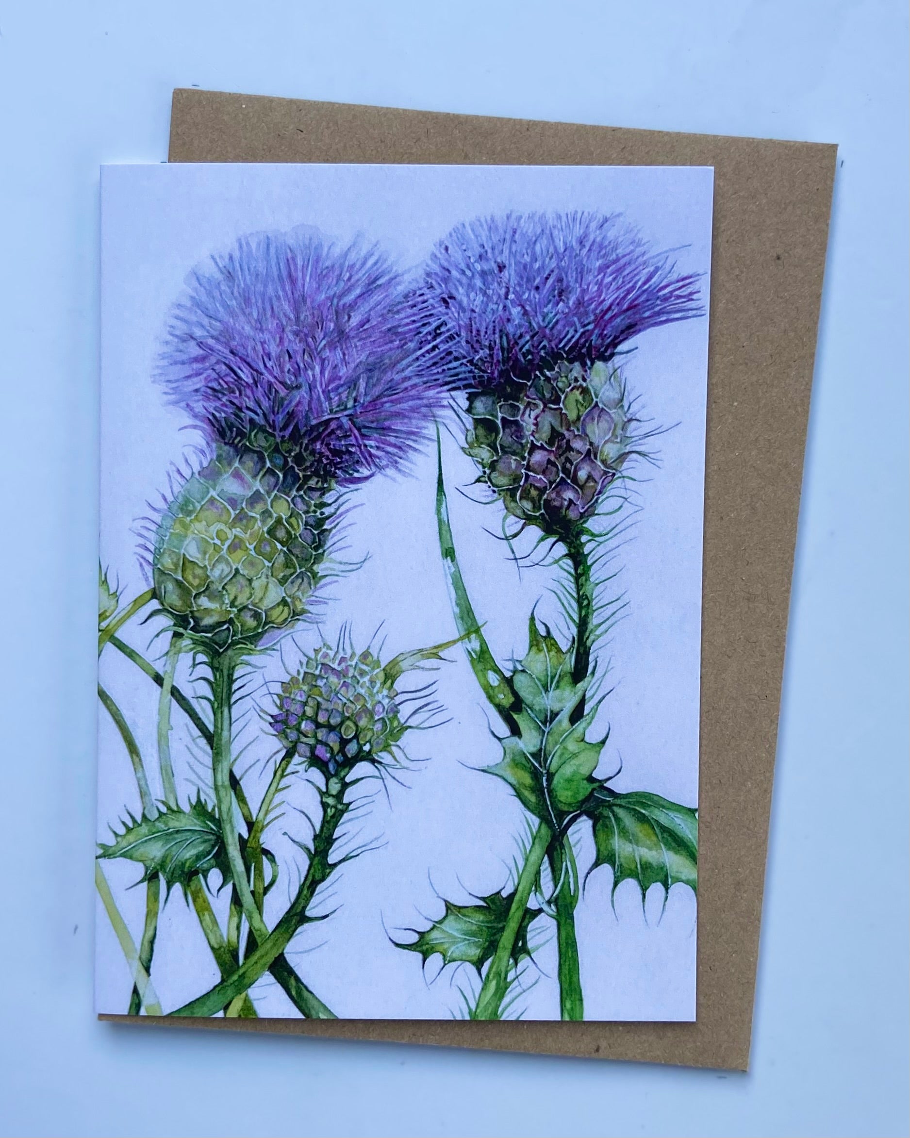 Thistle