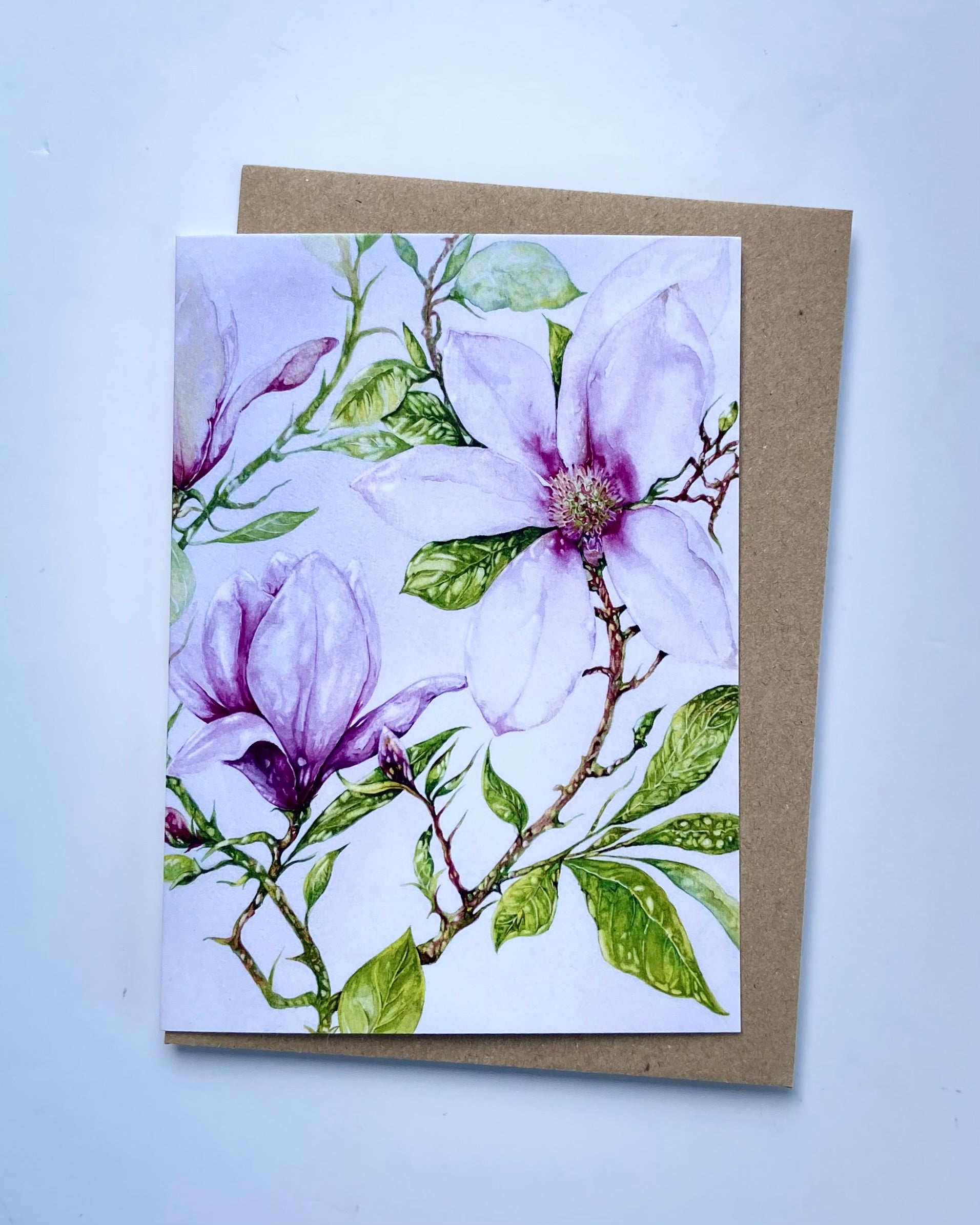 Magnolia